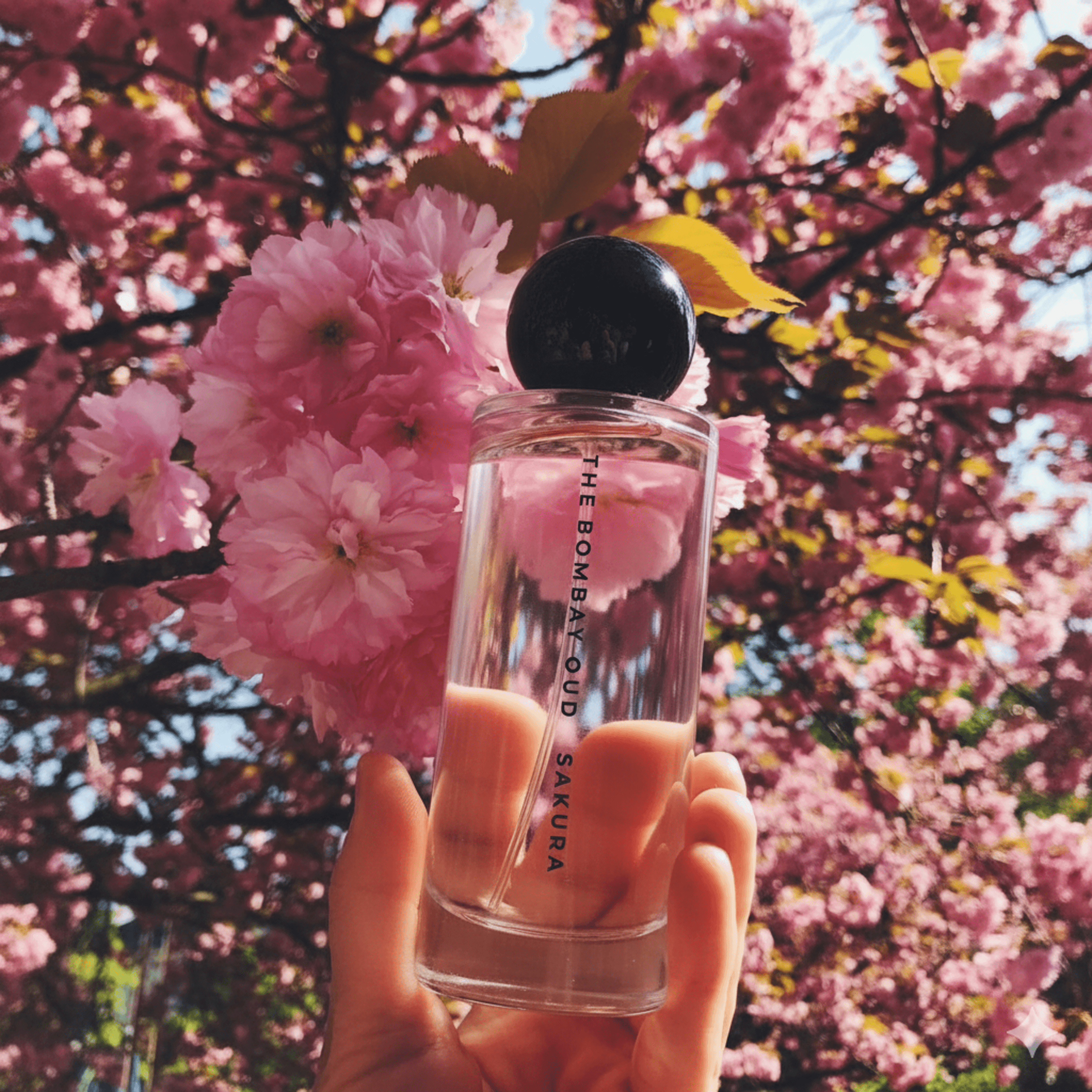 Hand holding sakura 60ml perfume bottle in front of blooming cherry blossoms, emphasizing its floral and uplifting fragrance notes.