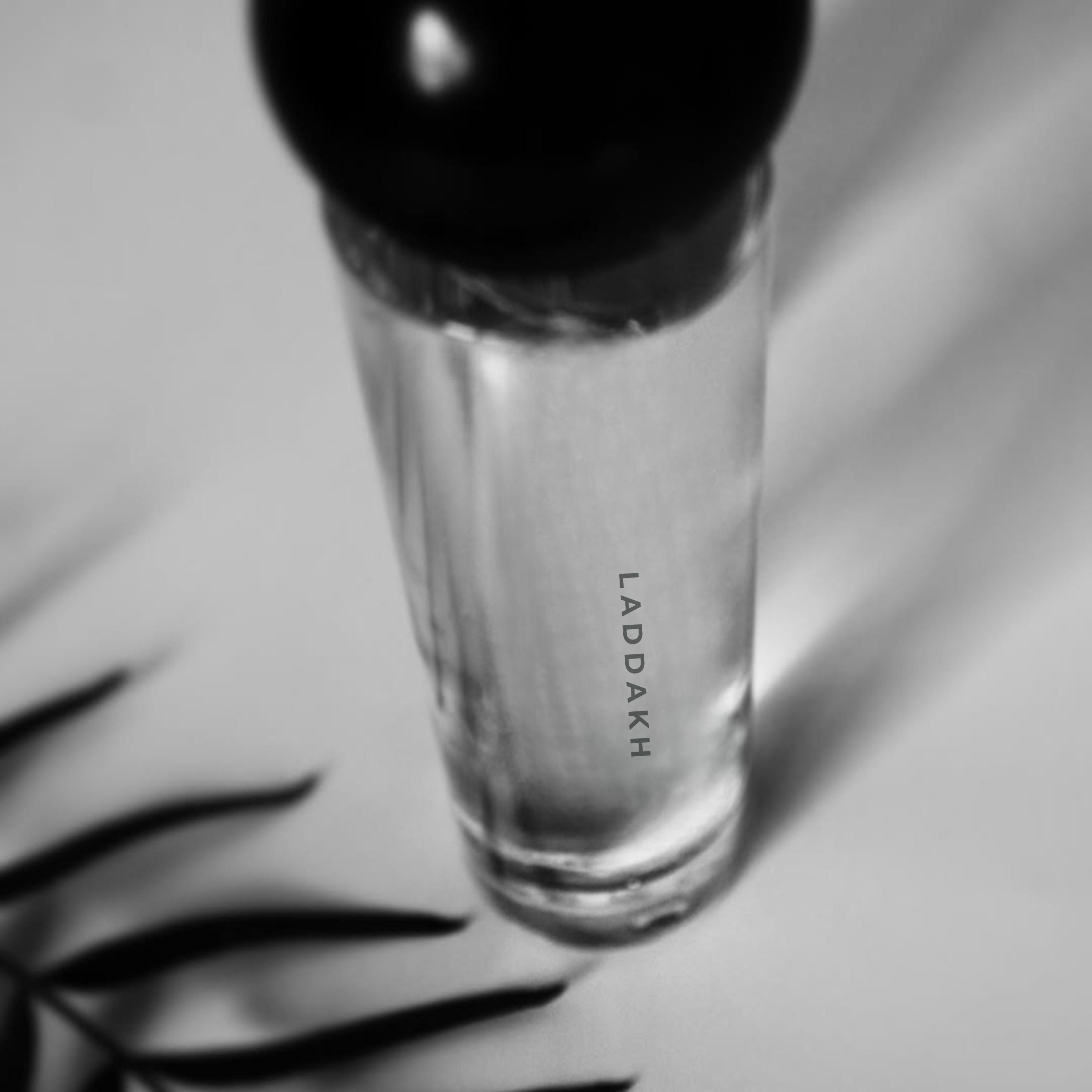 Close-up of Laddakh 60ml perfume bottle with soft shadows and a palm leaf, capturing its minimalist and earthy aesthetic.