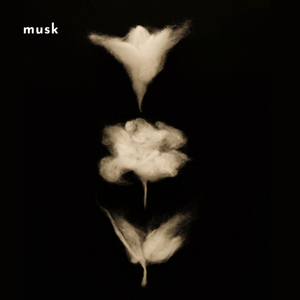 Artistic musk flower illustration symbolizing the soft, clean musk notes in Thai Musc 60ml eau de parfum for a serene fragrance experience.