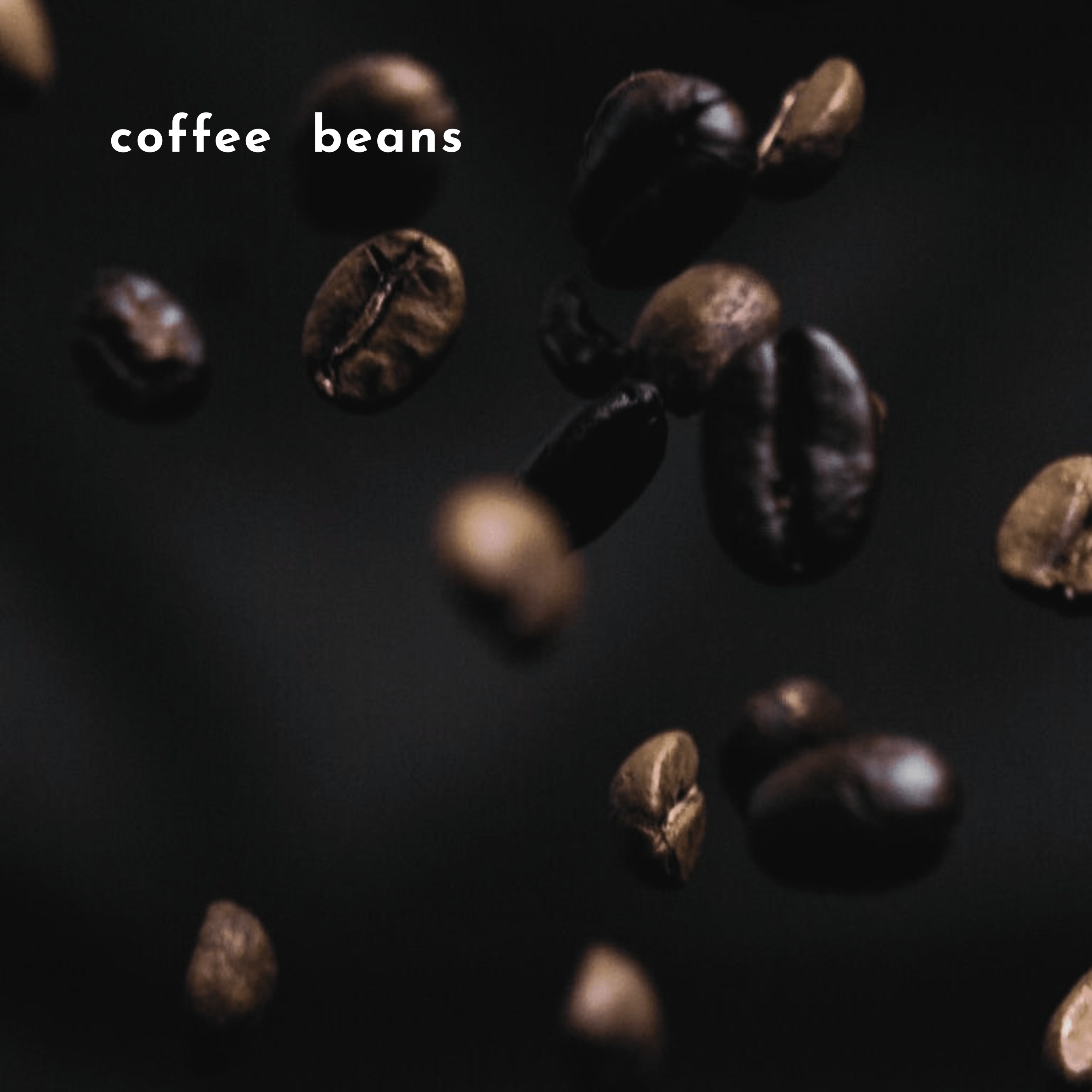 Floating coffee beans on dark background, illustrating the rich espresso note in Cafe 1870 60ml perfume by The Bombay Oud.