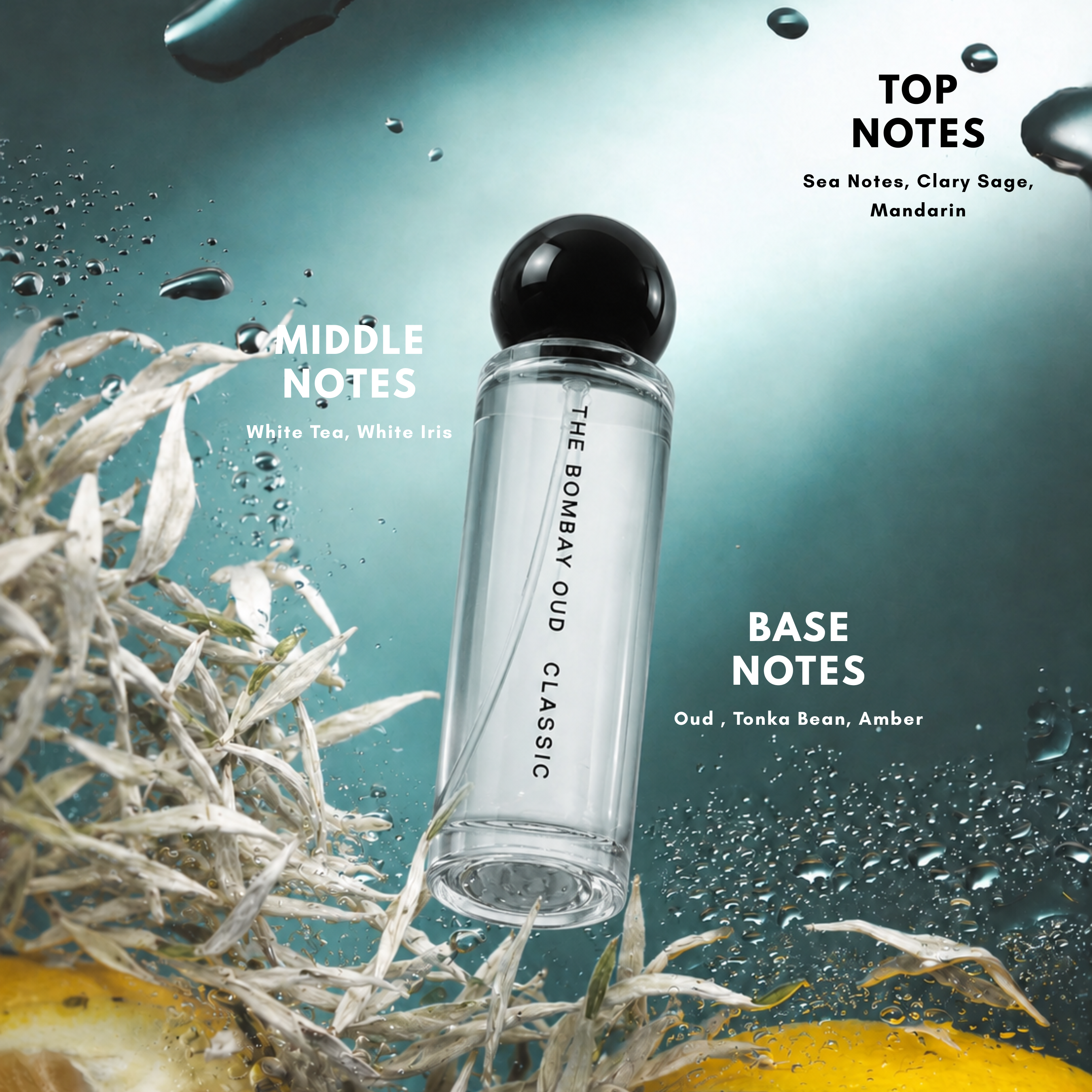 CLASSIC | White Tea Unisex - 60ML
