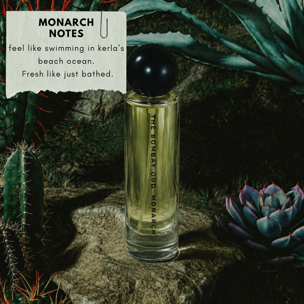 Monarch | Kerla's beach