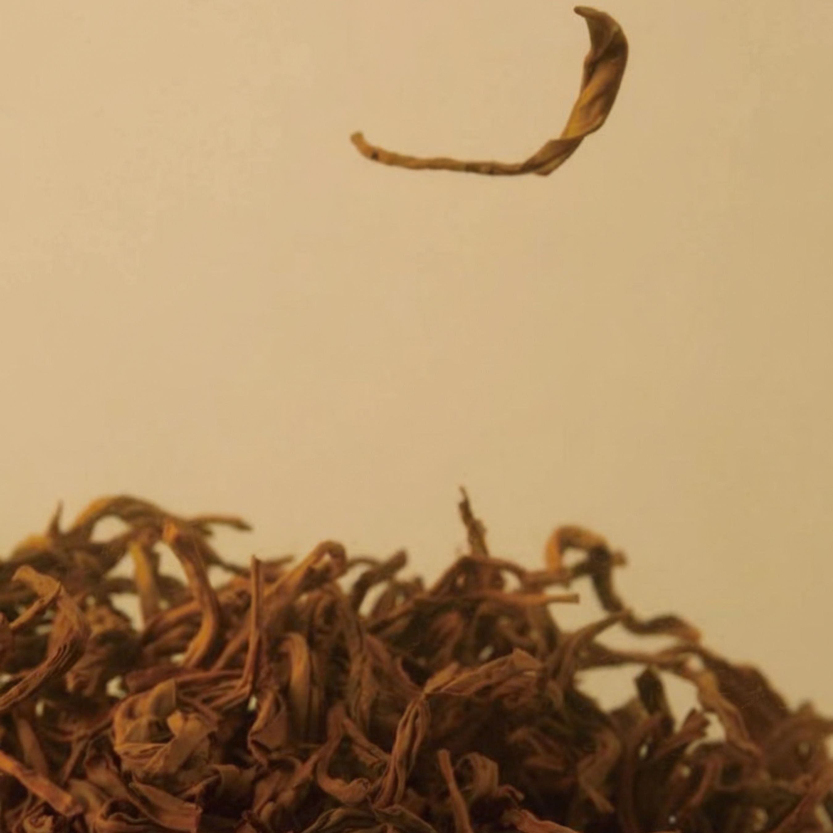Loose dried tea leaves floating mid-air, representing the white tea notes in Classic 60ml by The Bombay Oud, part of its calming fragrance profile.